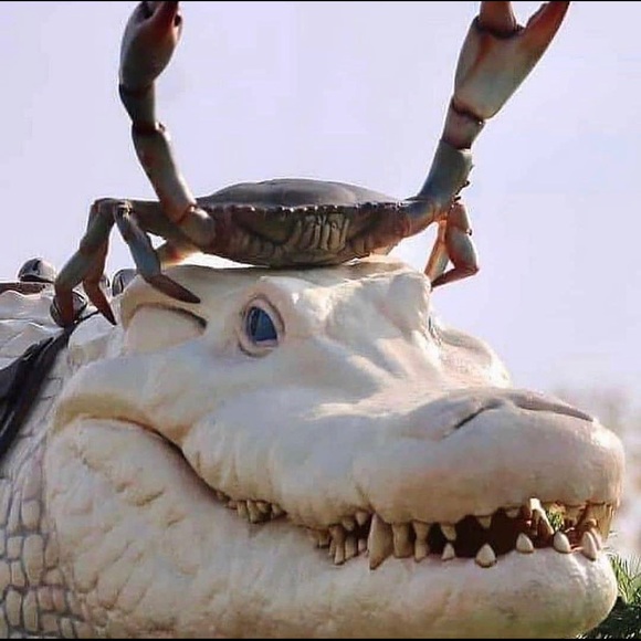 Meet your Posher, Algernon - Picture 1 of 1